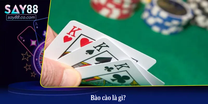 Bào cào là gì?