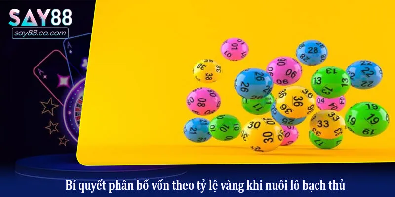 Bí quyết phân bổ vốn theo tỷ lệ vàng khi nuôi lô bạch thủ