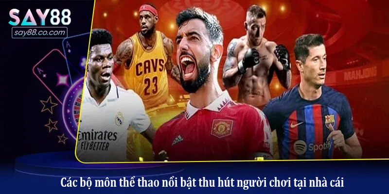 Các bộ môn thể thao nổi bật thu hút người chơi tại nhà cái
