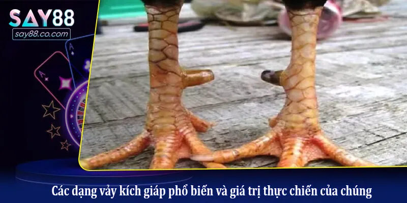 Các dạng vảy kích giáp phổ biến và giá trị thực chiến của chúng