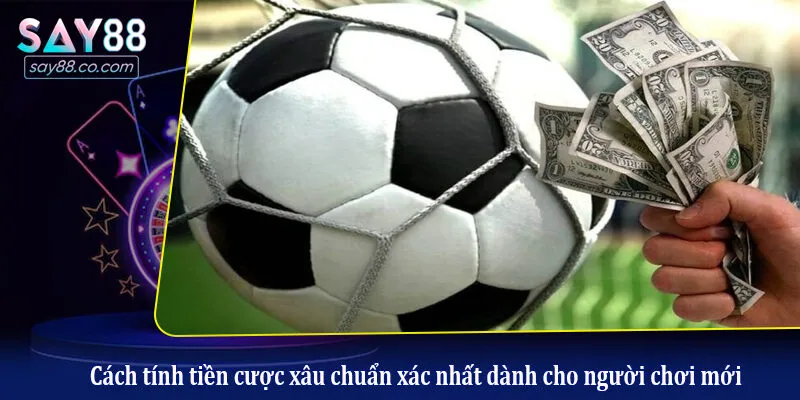 Cách tính tiền cược xâu chuẩn xác nhất dành cho người chơi mới