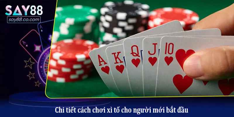 Chi tiết cách chơi xì tố cho người mới bắt đầu
