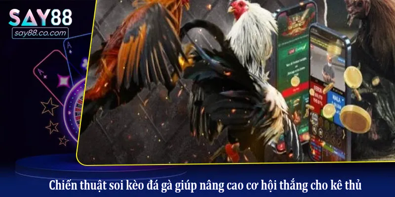 Chiến thuật soi kèo đá gà giúp nâng cao cơ hội thắng cho kê thủ