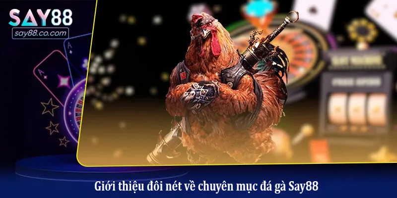 Giới thiệu đôi nét về chuyên mục đá gà Say88