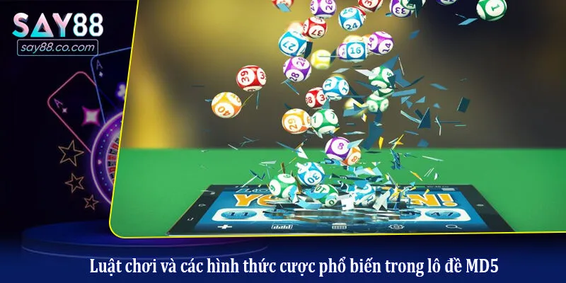 Luật chơi và các hình thức cược phổ biến trong lô đề MD5