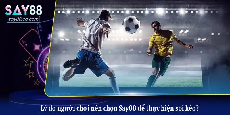 Lý do người chơi nên chọn Say88 để thực hiện soi kèo?