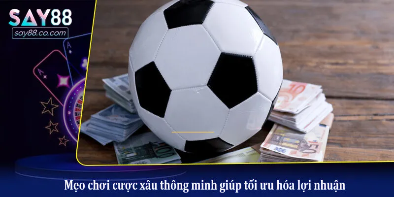 Mẹo chơi cược xâu thông minh giúp tối ưu hóa lợi nhuận