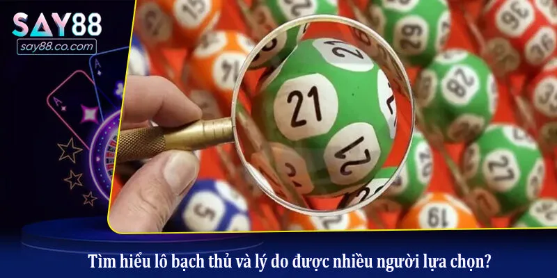 Tìm hiểu lô bạch thủ và lý do được nhiều người lựa chọn?