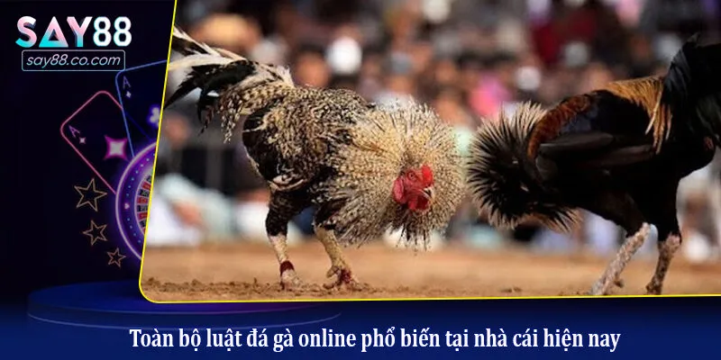 Toàn bộ luật đá gà online phổ biến tại nhà cái hiện nay